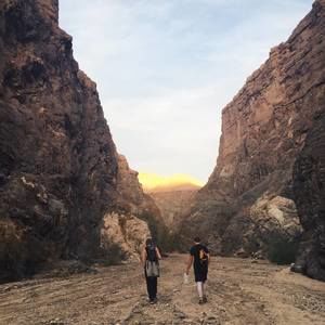 Meet your Posher, Joey